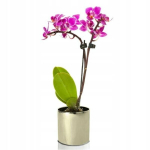 Kuldne peegel lillepoti kate, silinder, 16 cm