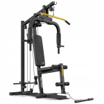 Multifunktsionaalne treeningseade Trex Sport TX-450HG