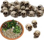 Niumowang 20 mini pealuu kaunistuse pakki, dekoratiivne pealuu, mini Halloweeni pealuu kaunistus, mini pealuu lillepoti kaunistus, mini pealuu pead, isetegemise k&auml;sit&ouml;&ouml;, v&auml;litingimuste, kodu, aia kaunistuse jaoks