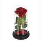 Igavene roos EternaMagic, 21x11cm, LED