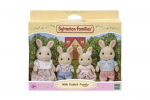 Pisiikeste j&auml;nesepoegade perekond Sylvanian Families