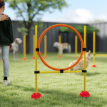 Agility komplekt koertele, 3-osaline t&auml;idetav. Agility treeningvarustus, takistuste komplekt slalomipulakatega.