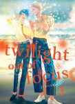 Twilight Out of Focus 3: Overlap, Twilight Out of Focus 3: Overlap