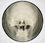 Bone Music: Soviet X-Ray Audio, Bone Music: Soviet X-Ray Audio