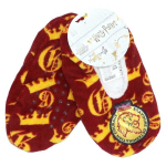 Harry Potteri talvised sussid