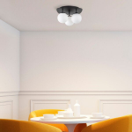 Liustra Well - 11715