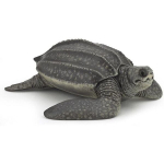 Figurine Cheloniidae - PAPO - Univers marin - Pour enfants &agrave; partir de 3 ans