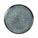 Homla l&otilde;unataldrik Mido, 27 cm