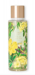 Victoria's Secret Wild Willow parf&uuml;meeritud kehasprei, 250 ml