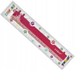 Plastikust joonlaud 15 cm loomadega lastele
