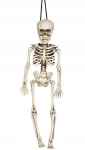 Rippuv skelett "fun dice" Halloweeni kaunistus, 40 cm
