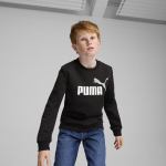 Puma Jumper Teismelistele Ess + 2 Col Big Logo Fl Black 586986 60 586986 60/152