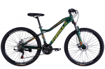 Maastikuratas Formula Alpina 26" roheline-kollane, 15" raam, 21 k&auml;iku