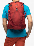 Gregory Miko 20 seljakott - sumac edition