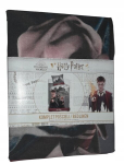 Grotas Harry Potteri voodipesukomplekt 160x200 cm, kate 70x80 cm