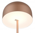 Led pirn Jeff R49151165, 2,5w, 3000k, pruun