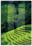 Herlitz Nature A4 sideaine elastsusega