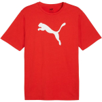 Puma Team Rise Logo Jersey Cotton meeste s&auml;rk, punane 658705 01