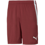 Puma teamLIGA meeste p&uuml;ksid, burgundipunased 704924 09