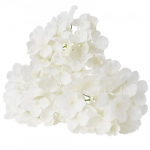 Kunstlilled, Hortensia, 15.2x15.2x25 cm, Valge, Siid