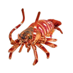 Lobster 33 cm Beppe pl&uuml;&uuml;sist m&auml;nguasi
