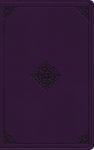 ESV Value Thinline Bible