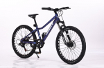 Laste jalgratas Gust Rebex Active 24cll, 17 (M)