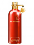 Parf&uuml;&uuml;mvesi Montale Wood On Fire EDP meestele/naistele, 100 ml, 100 ml