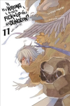 Is It Wrong to Try to Pick Up Girls in a Dungeon?, Vol. 11 (light novel)