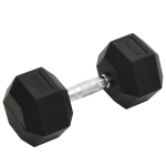 vidaXL hantlid 2 tk, 27,5 kg, malm