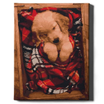 V&auml;rvi numbri j&auml;rgi Raamis "Armas kutsikas" Oh Art! 40x50 cm