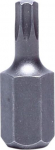 T50 torx 3/8"(10mm) l&uuml;hike L30 ots 2TK komplektis PR-10853