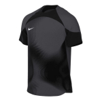 Nike Dri-FIT ADV Gardien 4 M DH7760-060 v&auml;ravavahi T-s&auml;rk