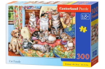 Pusle Castorland Kassipere, 300 tk