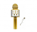 Bluetooth karaokemikrofon LED valgustusega Ramana family shop, kuldne