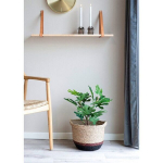 Kunstpuu Fig, 60 cm, roheline