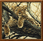 Tikkimiskomplekt RIOLIS 937 Leopard