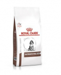 Royal Canin Gastro Intestinal Puppy seedeprobleemidega kutsikatele, 1 kg
