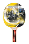 Lauatennise reket Donic Top Team 500