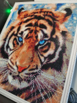 Teemantmosaiigi komplekt 40 x 50 cm, "The Look of Tiger"