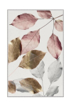 Asir vaip Hmnt779 100x200 cm