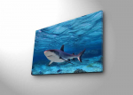Reproduktsioon 4570DHDACT-030