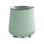 Fellow Ruby Mint Chip, 2 tk.