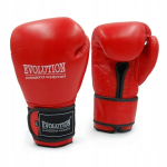 Professionaalsed poksikindad Evolution Pro 10 oz