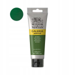 Winsor & Newton Galeria akr&uuml;&uuml;lv&auml;rvid 120ml - 599 Sap Green