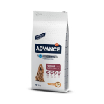 Kuivtoit koertele ADVANCE Medium Senior, 12 kg