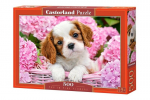 Pusle Castorland Puzzle Ginger Kitten, 500-osaline