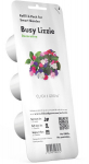 Click & Grow Smart Garden refill Lemmalts 3tk