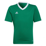 Laste T-s&auml;rk Adidas Entrada 22 Jersey HI2126, roheline