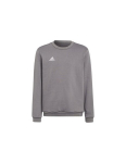 Laste kampsun Adidas Entrada 22 H57477, hall